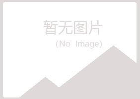 泰安泰山斑驳会计有限公司